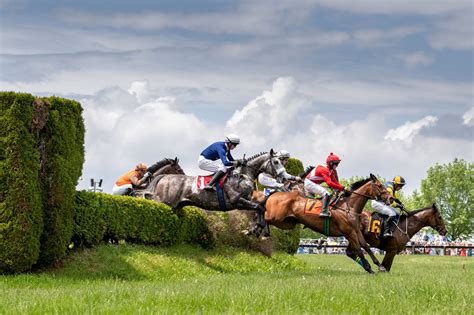 Sizzling hot 6 extra gold. Virginia Gold Cup Will Run Without Spectators On Saturday ...