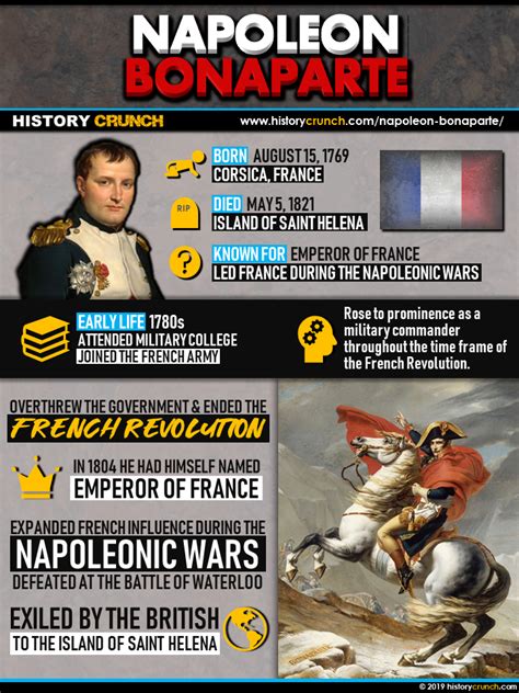 Napoleon Infographic