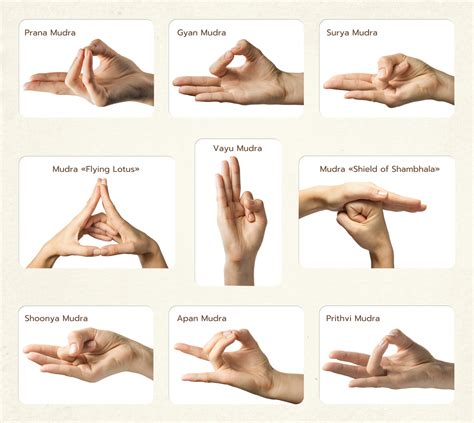 瞑想を深めるムドラーの実践 sitaramaブログ