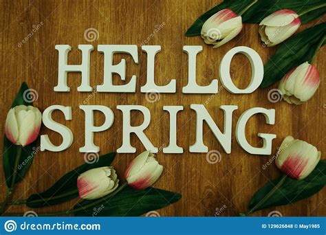 Hello Spring Alphabet Letter With Tulip Flower On Wooden Background