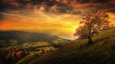 349919 Cloud Evening Hill Lonely Tree Sunset Switzerland Tree