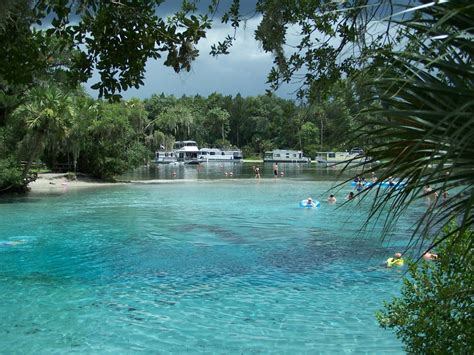 A Treasured Spring In Florida National Forest Foundation