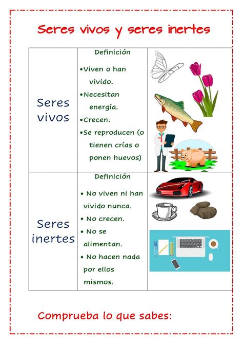 Ejercicio De Comprueba Lo Que Sabes De Los Seres Vivos Montessori