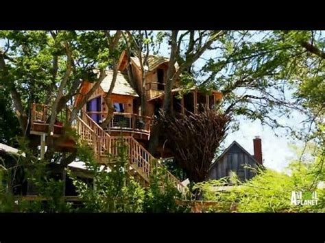 Apr 10, 2019 · treehouse master treehouses are pricey sometimes, treehouses built by the treehouse master are more expensive than regular houses. Behind the Build: Bird Nest Tree | Treehouse Masters - YouTube