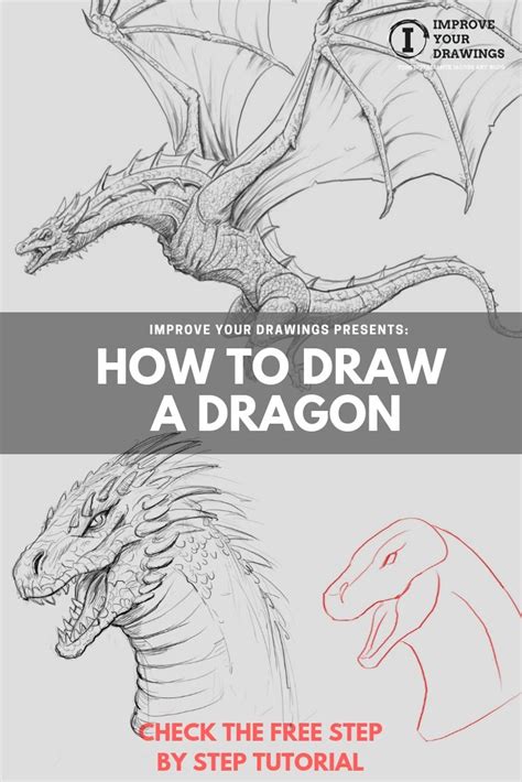 How To Draw A Dragon Step By Step And Easy To Follow Tutorial