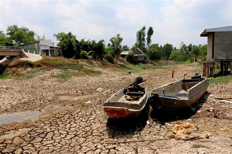 Record Drought And Salinity With Desperate Fresh Water Shortage Mekong