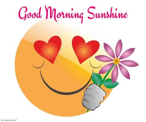 Lovely Good Morning Sunshine Images Best Collection Good Morning