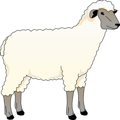 Free Sheep Clipart Pictures Clipartix