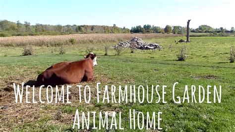 Farmhouse Garden Animal Home Youtube