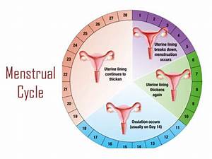 My Fertility Manual Fertility Forums Infertility Blogs