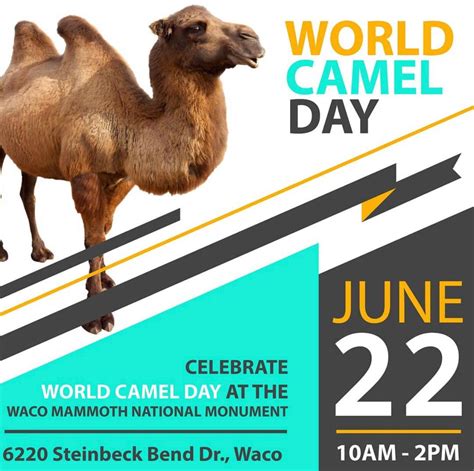History Of World Camel Day 22 June Arkbiodivcom
