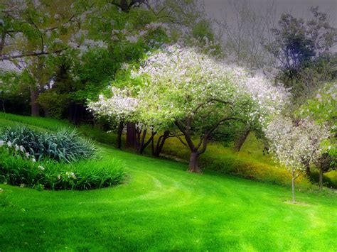 Imagenes para fondo de pantalla de pc paisajes. Fondos de pantalla de Primavera, Wallpapers HD