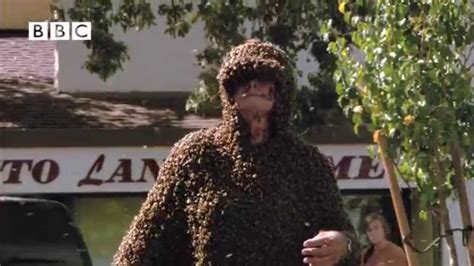 Bee Swarm Engulfs Man Youtube