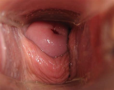Ejaculation Inside Vagina