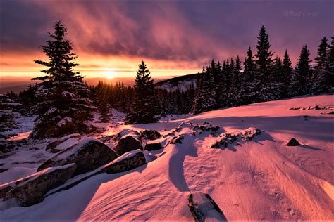 Forest Landscape Snow Sunset Tree Winter Wallpaper Resolution