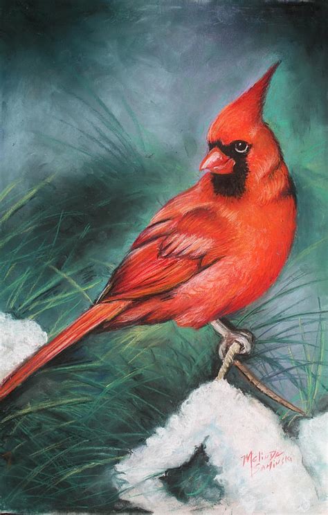 Winter Cardinal Painting By Melinda Saminski Fine Art America