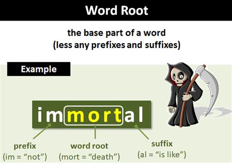 Word Root Explanation And Examples