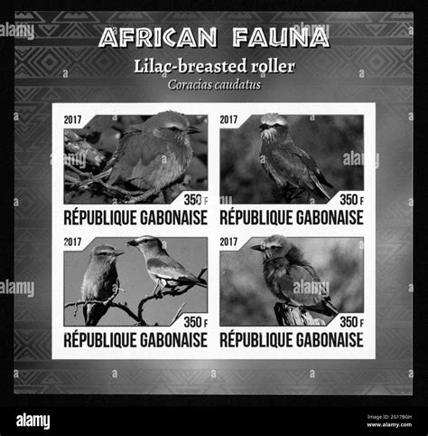 Stamp Print In Gabon Birds Stock Photo Alamy