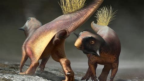 Scientists Just Learned A Lot More About Dinosaur Butts Heres What