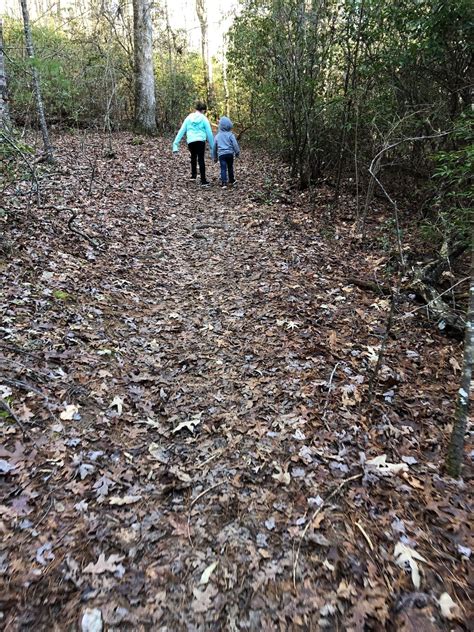 Best Kid Friendly Trails Near Blue Ridge Georgia Alltrails