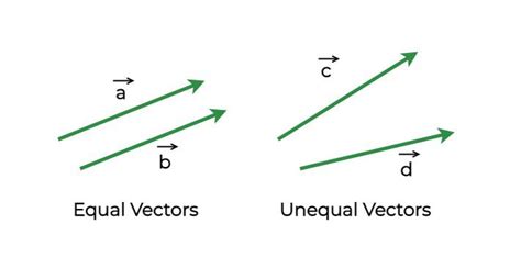 Scalars And Vectors Definition Examples Notation Differences And Faqs