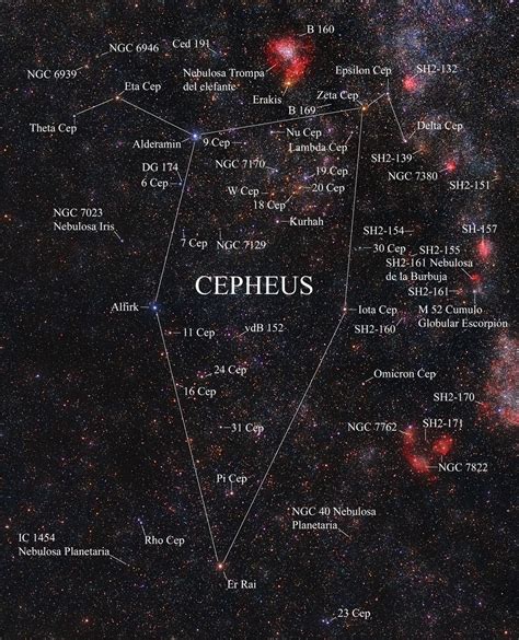 Cepheus Constellation Космос