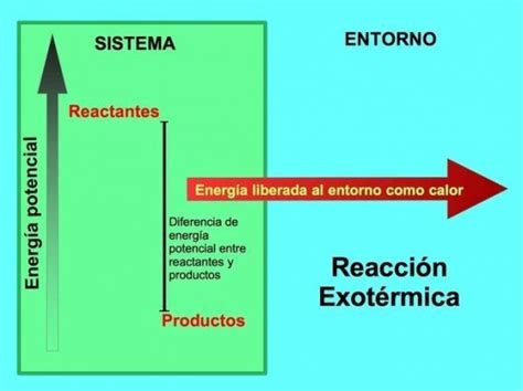 Reacciones QuÍmicas EndotÉrmicas Y ExotÉrmicas Curso Para La Unam