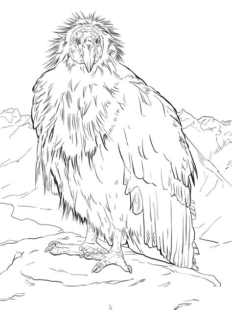 Take a trip around the world with this series of international sites, some man made and others—natural wonders like the grand canyon. Condor coloring pages to download and print for free