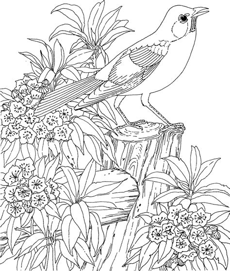 Difficult Pictures Colouring Pages