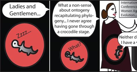 Stripped Women In Science Recapitulation Theory By Women In Science A Remake Of The Comic