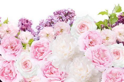 Pink White Peonies Floral Desktop Wallpaper Background →pretty