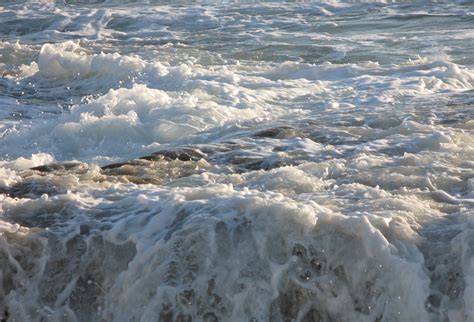 Sea Foam Free Photo Download Freeimages