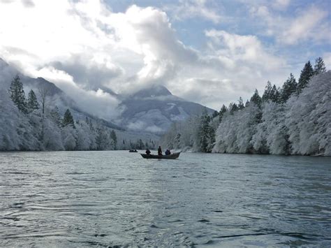 Skagit River Eagle Tours Mount Vernon All You Need To Know Before