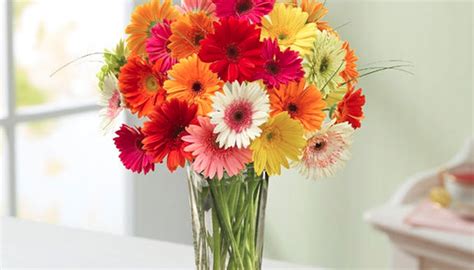 Here, 10 florists from around the country who, despite sourcing challenges, are delivering joyful, unexpected arrangements within their areas in time for may 10. Get 50% Off Mother's Day Flowers Delivered Right To Mom's ...