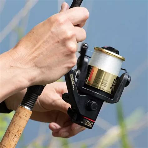 Daiwa Tournament Ss Whisker Reel Wednesday Review