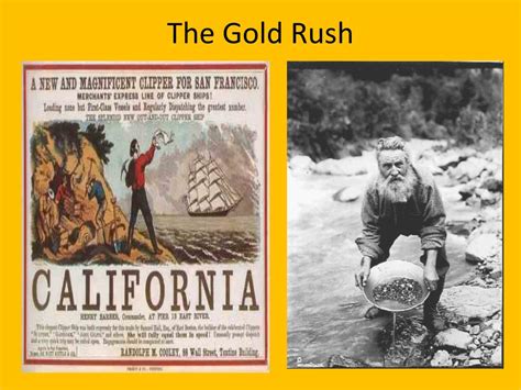 Ppt The Gold Rush Powerpoint Presentation Free Download Id1607148