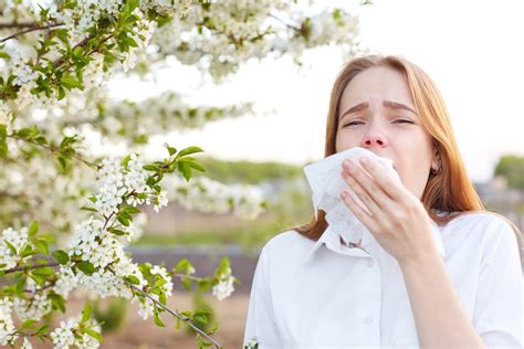 The Importance Of Allergy Testing Scott N Bateman Md Ear Nose And Throat Specialist