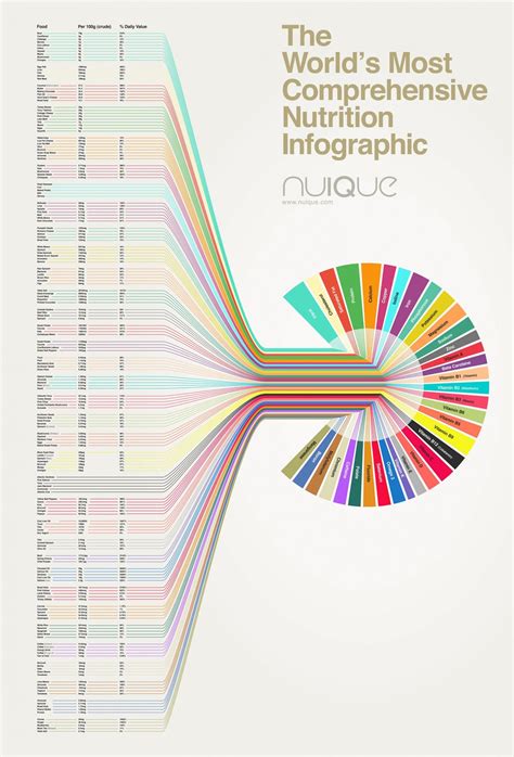 The Worlds Most Comprehensive Nutrition Infographic Visually