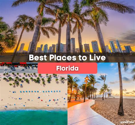 11 Best Places To Live In Florida 2022