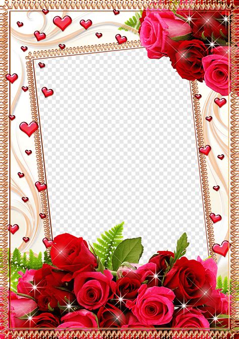 Frame Flower Rose Mood Frame S Moldura Digital De Rosas Cor De Rosa E