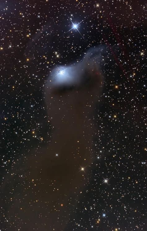 Apod 2009 October 31 Vdb 152 Reflection Nebula In Cepheus