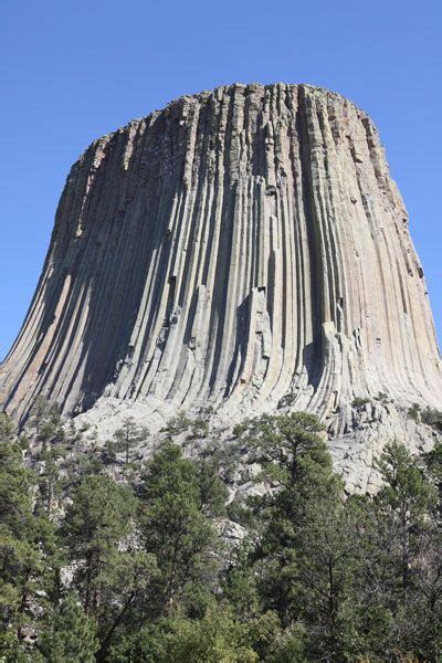 Devils Tower Wyoming It Is Really The Remains Of A Giant Ancient Tree