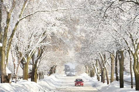 Minneapolis St Paul Weather Winter Storm Likely This Weekend