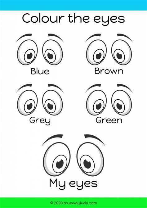 Eye Worksheets For Kids Free Printable Worksheet