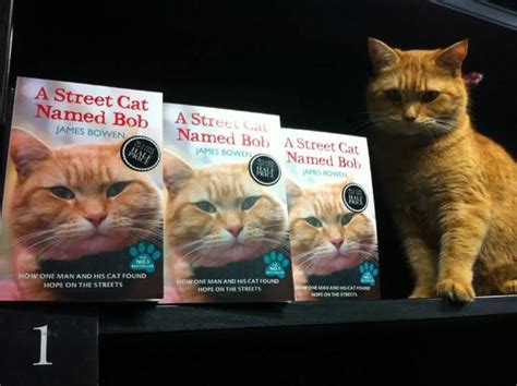 治癒全球的流浪貓鮑勃離世，網友痛哭：謝謝你曾經救贖過我 每日頭條