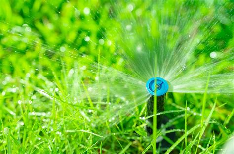 3 Signs Youre Overwatering Your Lawn Spartan Irrigation Lansing Mi