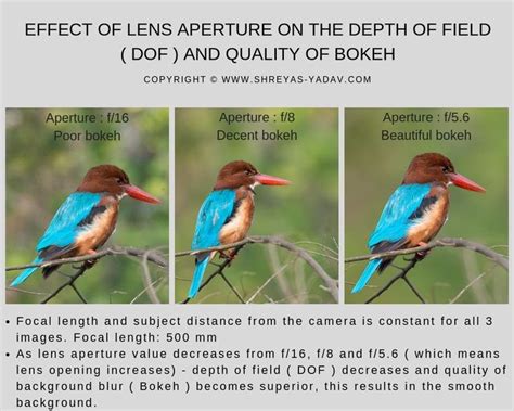 Depth Of Field The Ultimate Beginners Guide To Controlling Depth Of