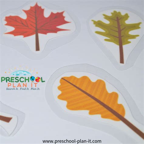 Fall Leaves Preschool Theme For Your Preschool Classroom