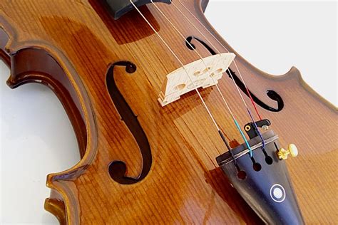 The exact technique varies somewhat depending on the type of instrument: Violín Pizzicato para niño | Violín de estudio | Violines ...