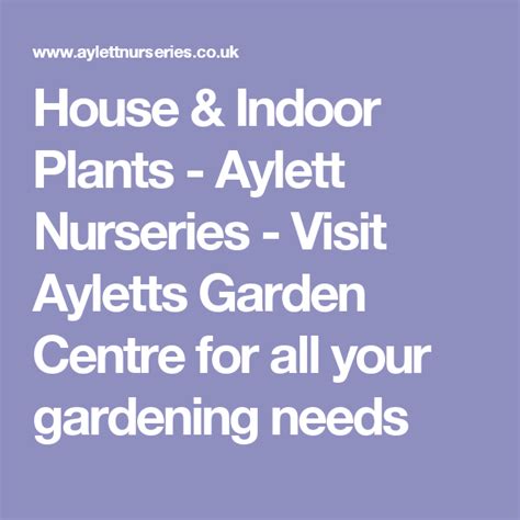 House And Indoor Plants Aylett Nurseries Visit Ayletts Garden Centre